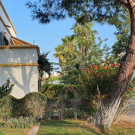 Nice 2 Bedroom Apartment Groundfloor Swimming Pool Тавіра Екстер'єр фото